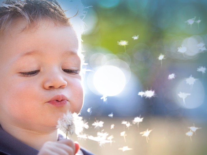 Child with dandelion Contentslider